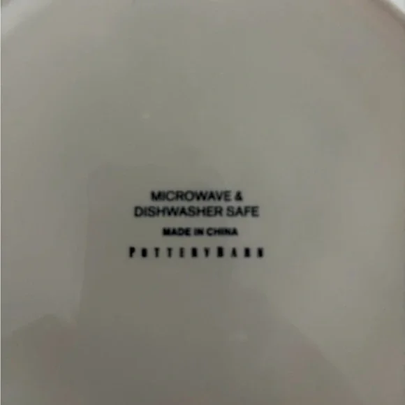 Pottery Barn Ceramic Plate Set of 4 - Picture 8 of 9
